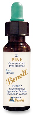 FIORI DI BACH BENOIT PINE 10 ML - farmascienza.it