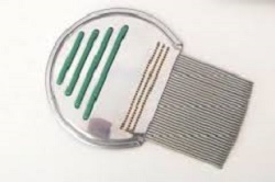 PETTINE ACCIAIO PER RIMOZIONE PIDOCCHI - farmascienza.it