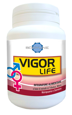 VIGOR LIFE 40 CAPSULE - farmascienza.it