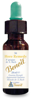 HERE REMEDY 28 ML - farmascienza.it