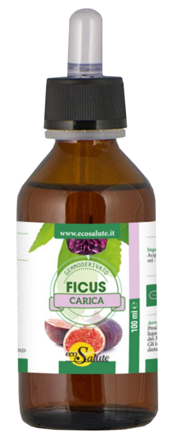 FICUS CARICA GEMMODERIVATO 100 ML - farmascienza.it
