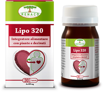 LIPO 320 30 CAPSULE - farmascienza.it
