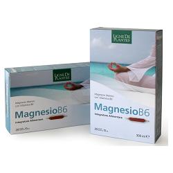 MAGNESIO B6 20 AMPOLLE BEVIBILI DA 15 ML - farmascienza.it
