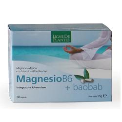 MAGNESIO B6 + BAOBAB 60 CAPSULE - farmascienza.it