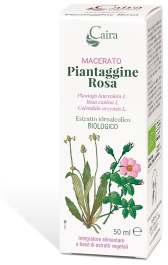CAIRA PIANTAGGINE ROSA MACERATO IDROALCOLICO GOCCE 50 ML - farmascienza.it