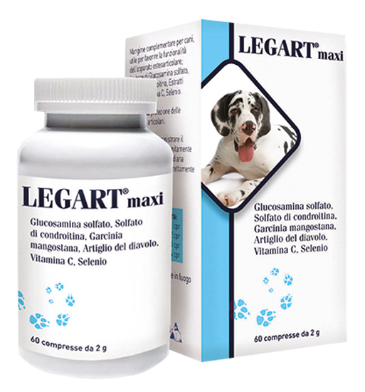 LEGART MAXI 60 COMPRESSE 2 G - farmascienza.it