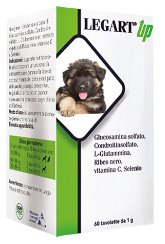 LEGART UP 60 COMPRESSE DA 1 G - farmascienza.it