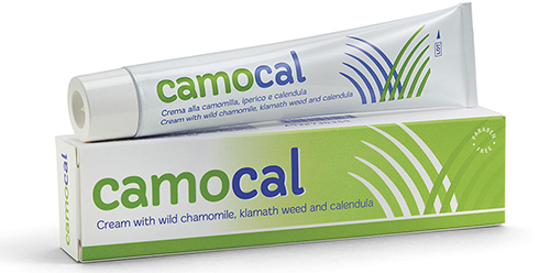 CREMA VEGETALE PER LE AFFEZIONI ANALI CAMOCAL 50 ML - farmascienza.it