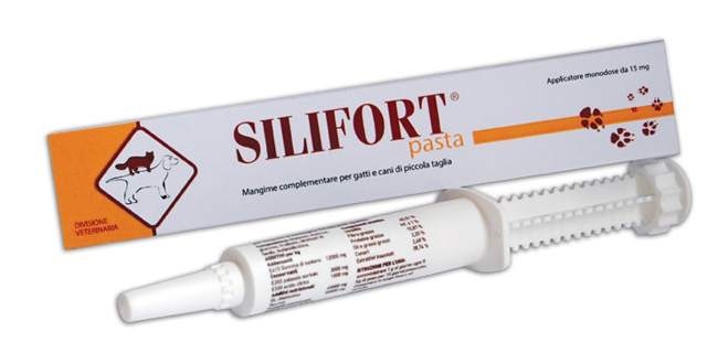 SILIFORT PASTA OS SIRINGA 30 G - farmascienza.it