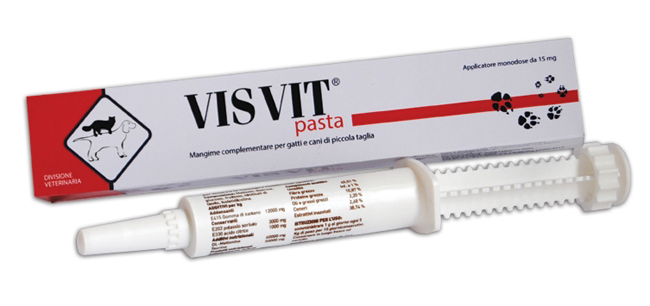 VISVIT PASTA OS SIRINGA 15 G - farmascienza.it