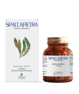 SPACCAPIETRA 50 CAPSULE - farmascienza.it