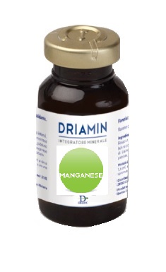 DRIAMIN MANGANESE 15 ML - farmascienza.it