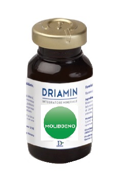 DRIAMIN MOLIBDENO 15 ML - farmascienza.it