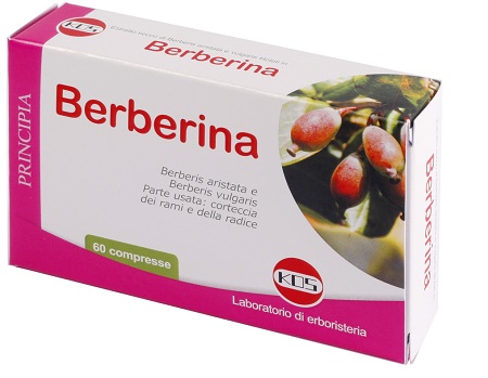BERBERINA DA BERBERIS VULGARIS ESTRATTO SECCO 60 COMPRESSE - farmascienza.it