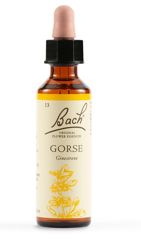 GORSE BACH ORIG 20 ML - farmascienza.it