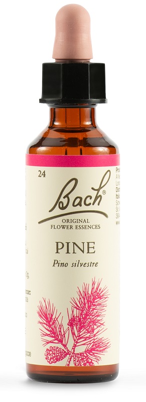 PINE BACH ORIG 20 ML - farmascienza.it