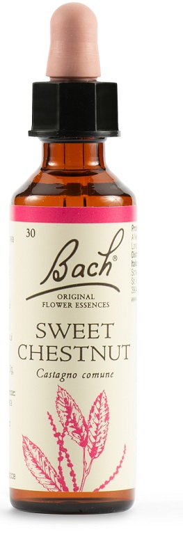 SWEET CHEST BACH ORIG 20 ML - farmascienza.it