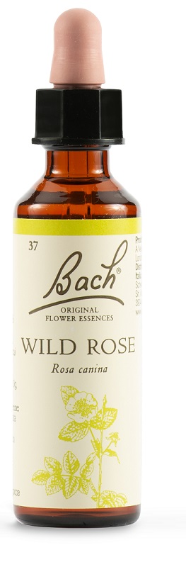 WILD ROSE BACH ORIG 20 ML - farmascienza.it