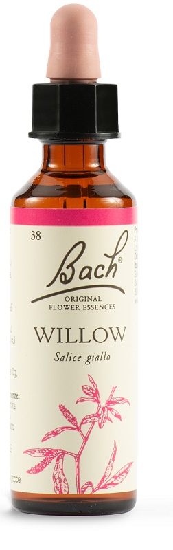 WILLOW BACH ORIG 20 ML - farmascienza.it