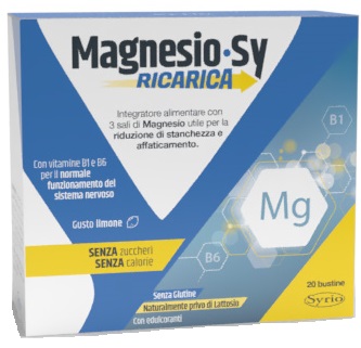 MAGNESIO SY RICARICA 20 BUSTINE - farmascienza.it