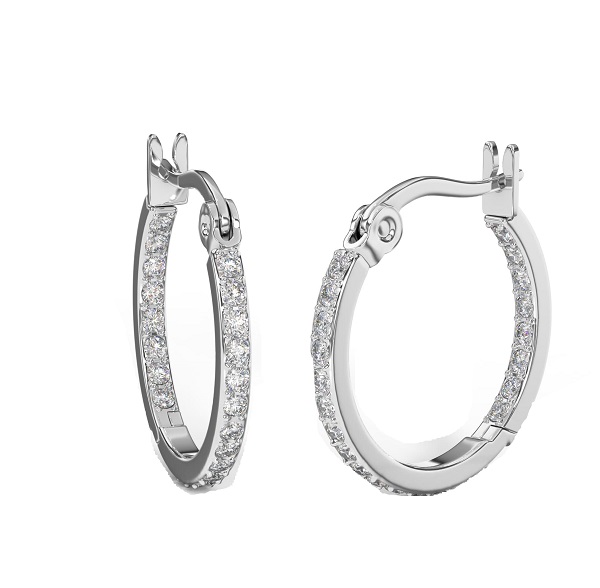 BJT406 ORECCHINI HOOP 20MM STAINLESS STEEL - farmascienza.it