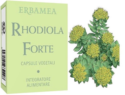 RHODIOLA FORTE 24 CAPSULE - farmascienza.it