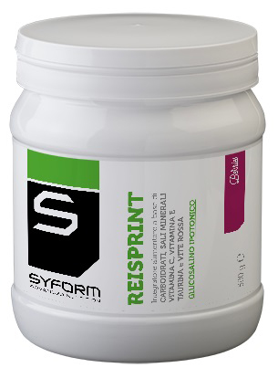 REISPRINT BERRIES 500 G - farmascienza.it