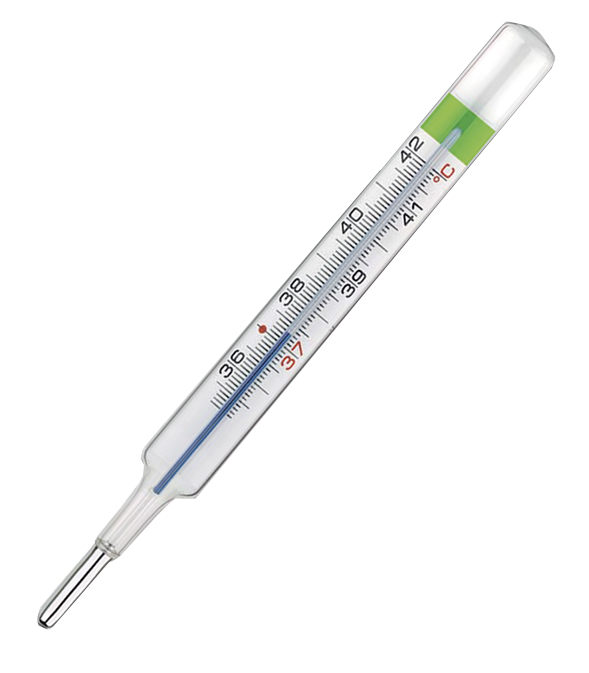 COLPHARMA THERMO GREEN PLUS TERMOMETRO - farmascienza.it