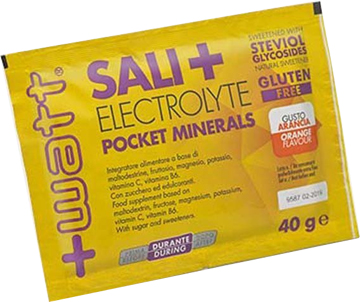 SALI+ ARANCIA MINERAL POCKET 40 G - farmascienza.it