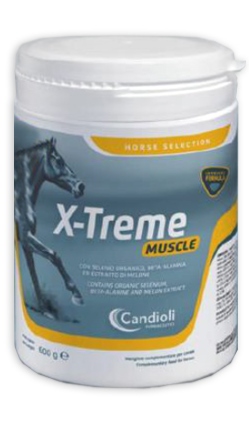 X-TREME MUSCLE BARATTOLO 600 G - farmascienza.it