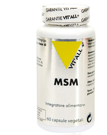 MSM 60 CAPSULE - farmascienza.it