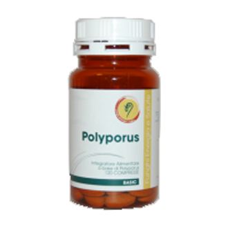 POLYPORUS LINEA BASIC 120 COMPRESSE 108 G - farmascienza.it