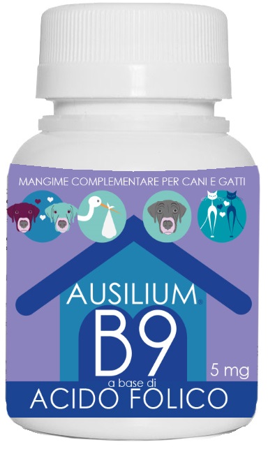 AUSILIUM B9 VET ACIDO FOLICO 100 G - farmascienza.it