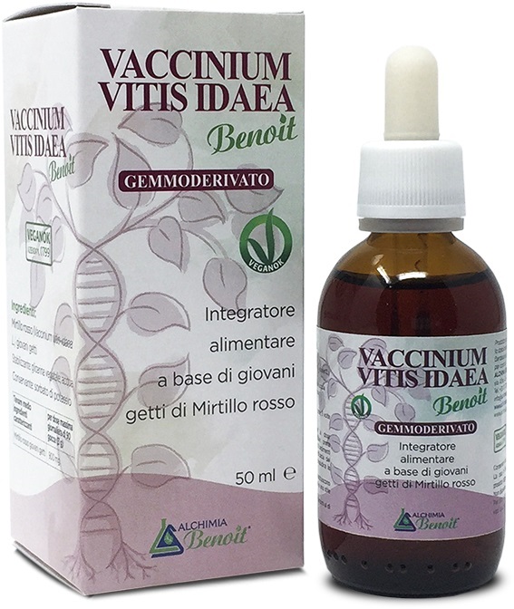 VACCINIUM VITIS IDAEA GEMMODERIVATO 50 ML - farmascienza.it
