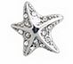 BJT978 ORECCHINI SEA STAR C STAINLESS STEEL - farmascienza.it
