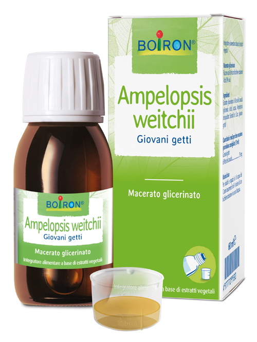AMPELOPSIS WESTRATTO IDROALCOLICO BOIRON MACERATO GLICERICO 60 ML - farmascienza.it