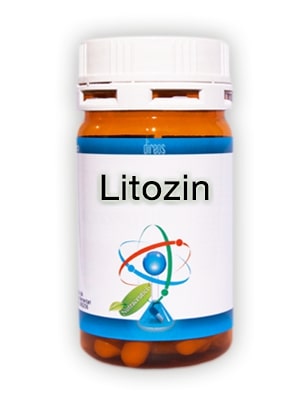 LITOZIN 60 CAPSULE - farmascienza.it