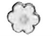 BJT219 ORECCHINI GLORIOSA WHITE STAINLESS STEEL - farmascienza.it