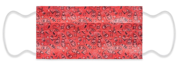 MYMASK PRO TIPO I MASCHERINA CHIRURGICA PAISLEY 10 PEZZI - farmascienza.it