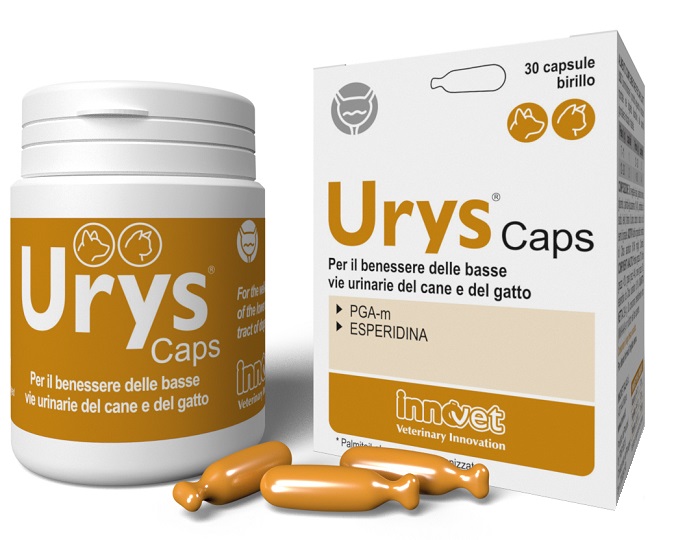 URYS CAPS 30 CAPSULE - farmascienza.it