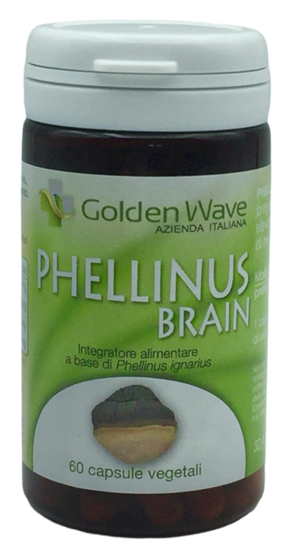 PHELLINUS BRAIN 60 CAPSULE VEGETALI - farmascienza.it