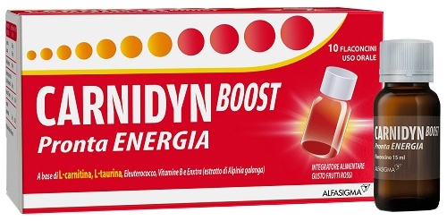 CARNIDYN BOOST 10 FLACONCINI - farmascienza.it