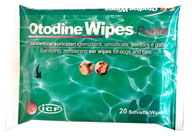 OTODINE WIPES POCKET 20 PEZZI - farmascienza.it