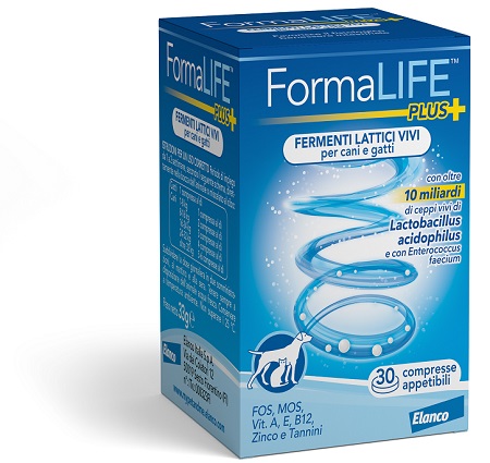 FORMALIFE PLUS FERMENTI LATTICI VIVI 30 COMPRESSE APPETIBILI - farmascienza.it