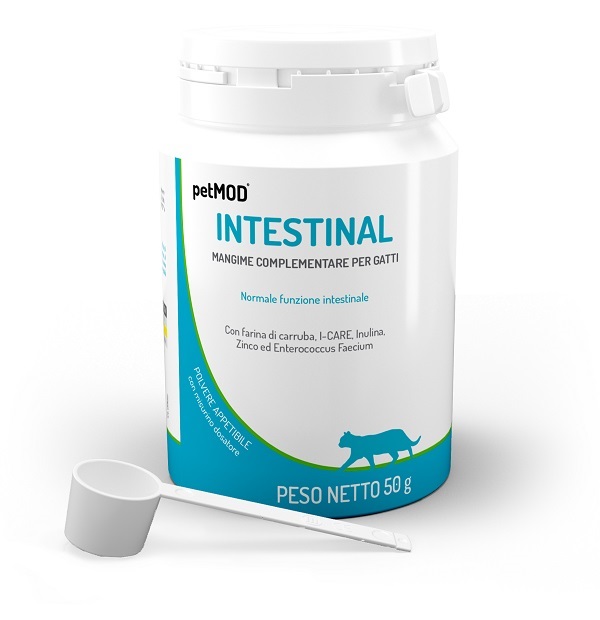 PETMOD INTESTINAL GATTO POLVERE 50 G - farmascienza.it