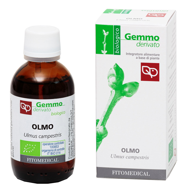OLMO MACERATO GLICERICO 50 ML BIO - farmascienza.it